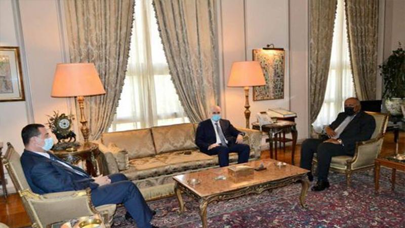 شكري: نسعى لإحياء المسار التفاوضي لتسوية شاملة .. ونرفض استهداف الهوية العربية لمدينة القدس