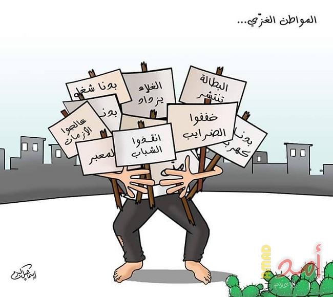 المواطن الغزي