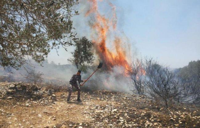 حريقان في أراض زراعية جنوب جنين
