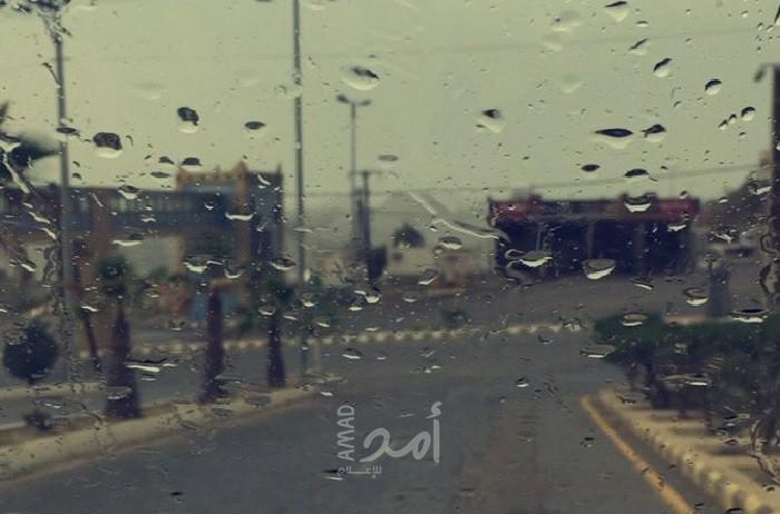    أنتِ المطر !!