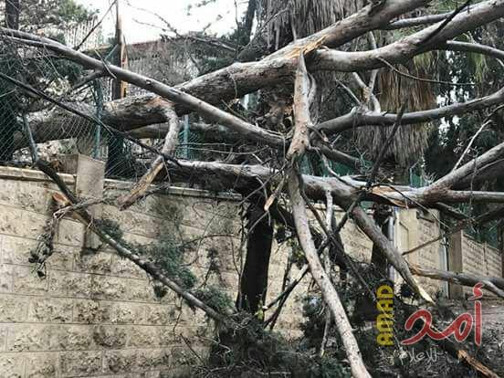 الدفاع المدني يقدم ارشادات استعدادا للمنخفض الجوي القادم