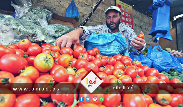 سلطات الاحتلال تسمح بتصدير "البندورة" بالقمعة من قطاع غزة