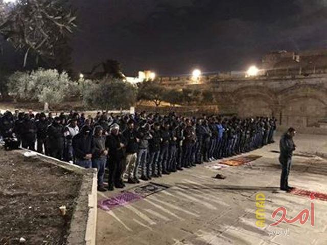 بالفيديو .. المبعدون عن المسجد الأقصى يؤدون صلاة المغرب عند باب الرحمة
