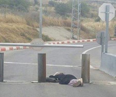 محدث - قوات الاحتلال تعدم فتاة فلسطينية شمال القدس
