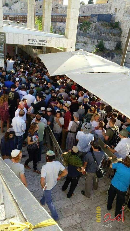 محدث.. مئات المستوطنين  يقتحمون المسجد الأقصى بحماية مشددة من قوات الاحتلال