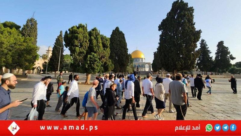 القدس: عشرات المستوطنين الإرهابيين يقتحمون المسجد الأقصى‎‎‎‎