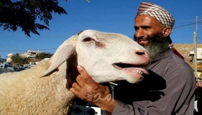 فرانس برس: أزمة السلطة الفلسطينية المالية تثني كثراً عن شراء أضاحي العيد 