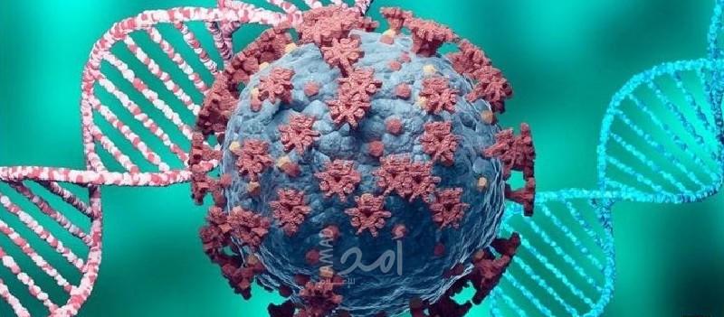 الصحة ‏الأردنية: لا إصابات بمتحور "أوميكرون" الجديد