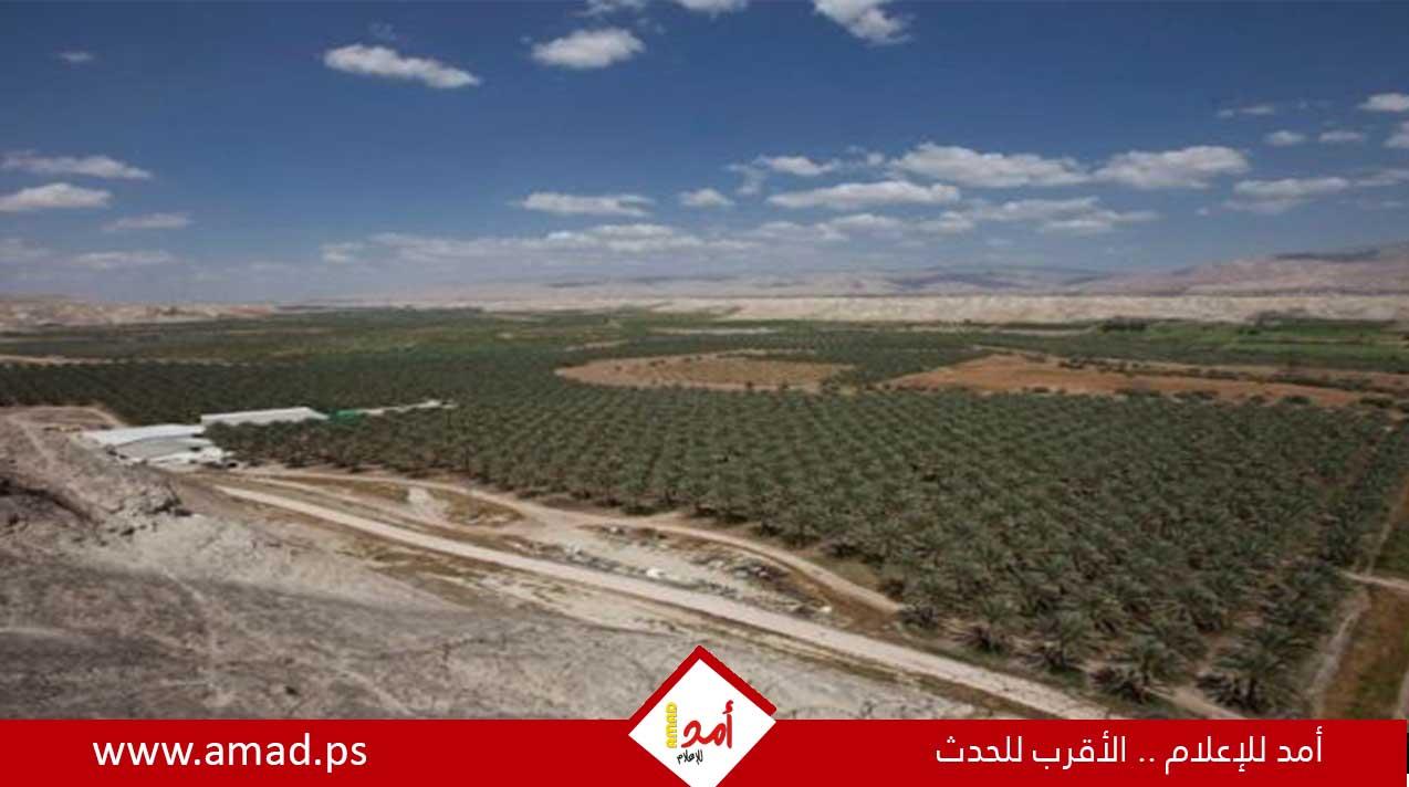 إسرائيل تستولي على 8 آلاف دونما من الأراضي في غور الأردن