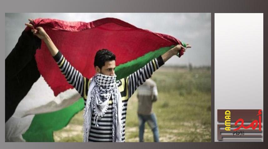 كاتب بريطاني: المملكة المتحدة مدينة للفلسطينيين بـ"دولة"