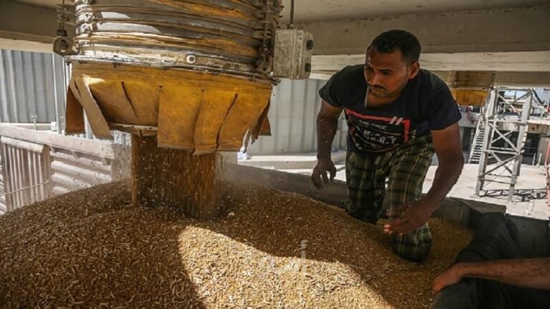وزير التموين المصري: لدينا احتياطي من القمح لم يحدث في تاريخ البلاد
