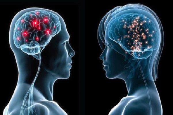 دراسة: مخ المرأة يظل يعمل ولا يخلد للراحة مثل الرجل
