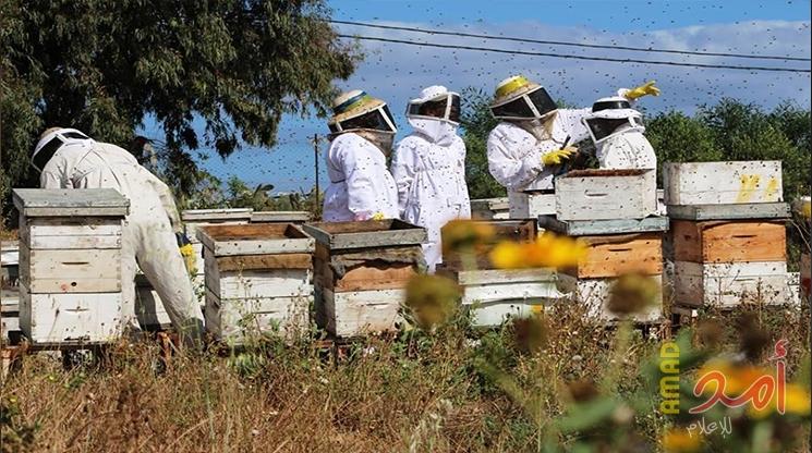 علاج البرص بالعسل والليمون