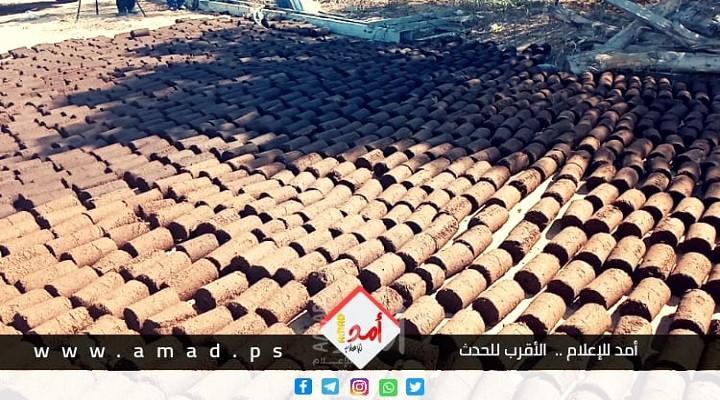 مخلفات الزيتون مصدر للطاقة في فلسطين