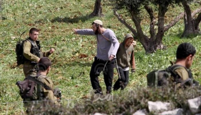 مستوطنون يعتدون على قاطفي الزيتون جنوب بيت لحم