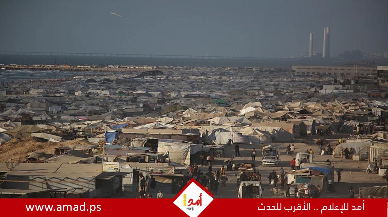 تحذيرات من كارثة صحية وبيئية غير مسبوقة في غزة مع اقتراب الصيف وتدمير البنية الطبية