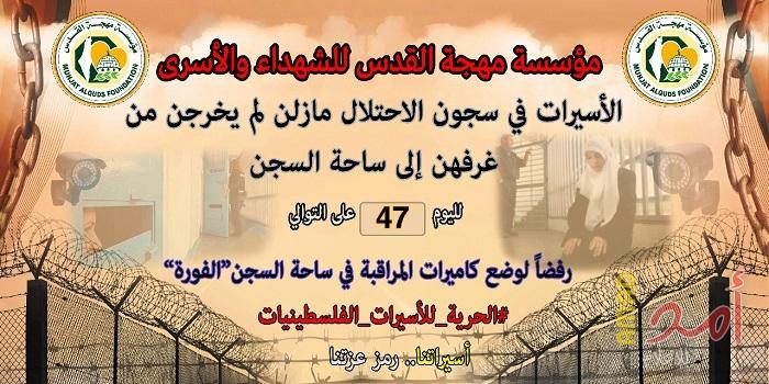 47 يوماً.. الأسيرات يحجزون أنفسهن داخل غرفهن في سجون الاحتلال