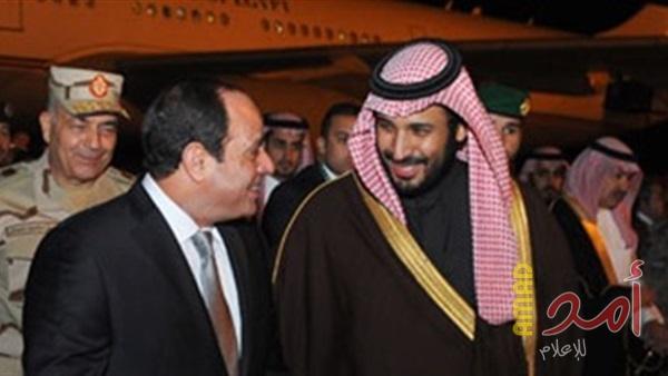 مصر تتعهد للسعودية بألف كم مربع جنوبي سيناء لمشروع مدينة "نيوم" العملاقة