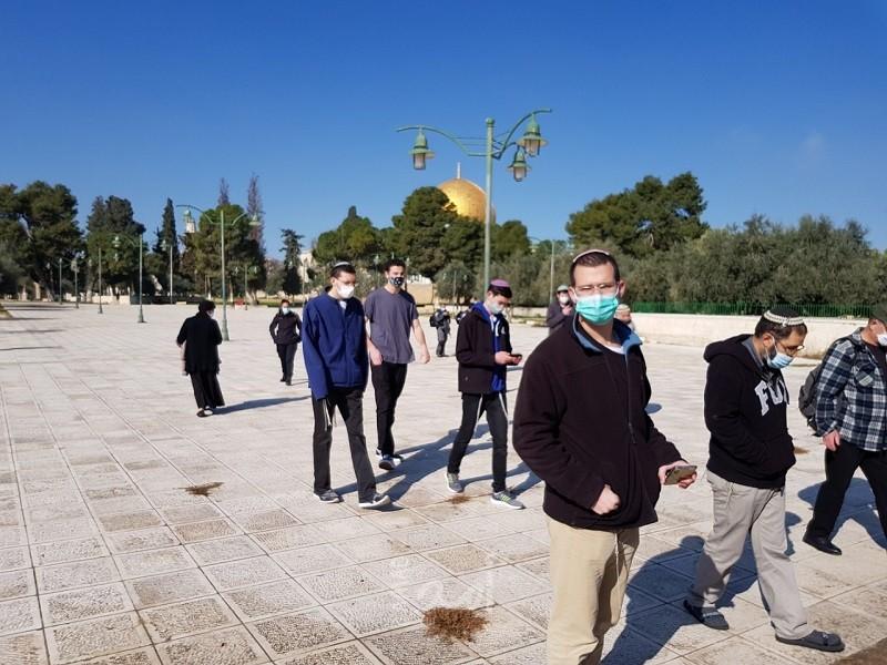 القدس: (69) مستوطناً يقتحمون ساحات "الأقصى" بحراسة مشددة