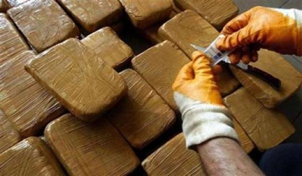 مكافحة المخدرات برفح تضبط حبوب مخدرة وحشيش