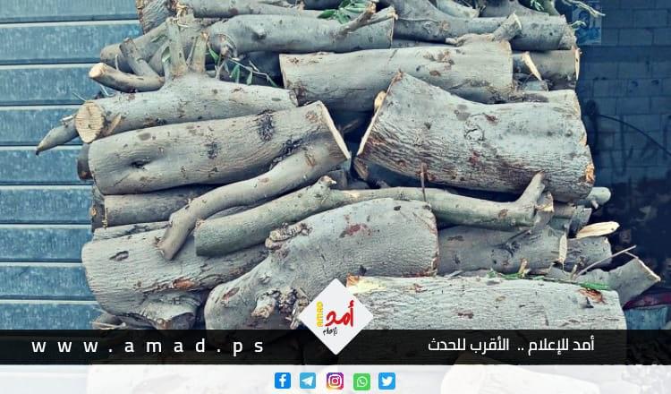 بلغاريا تحظر تصدير الأخشاب بسبب الارتفاع الشديد في أسعار الحطب