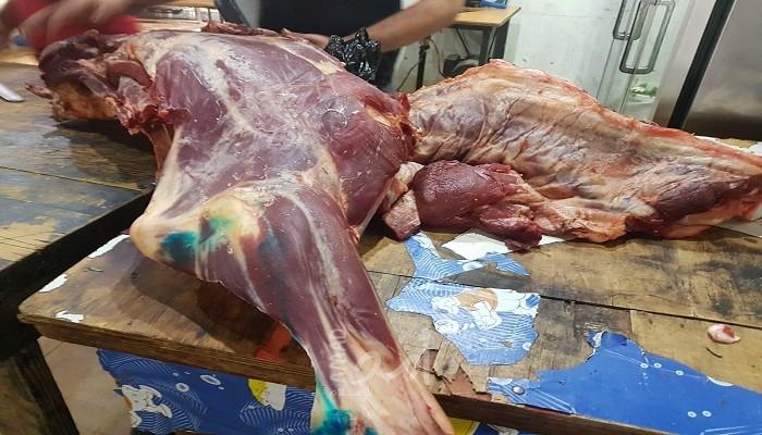 بلدية جباليا تتلف نصف طن من اللحوم الفاسدة
