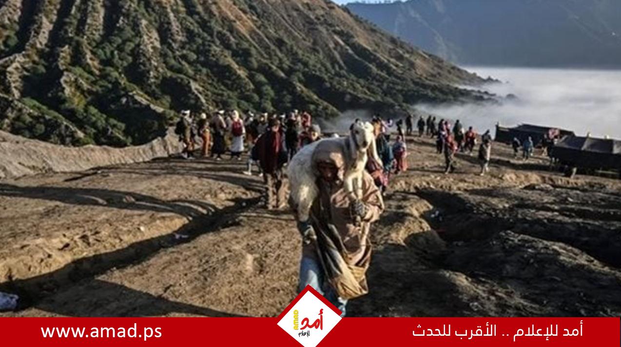 طالبوا الحكومة بفصل الإنترنت عن منازلهم.. سكان من إندونيسيا يثيرون الجدل