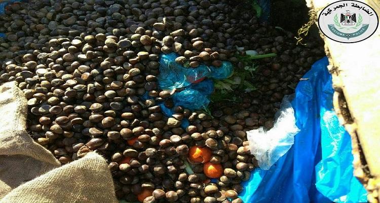 بالصور...جنين: إتلاف 280 كغم كستنة غير صالحة للاستهلاك الادمي