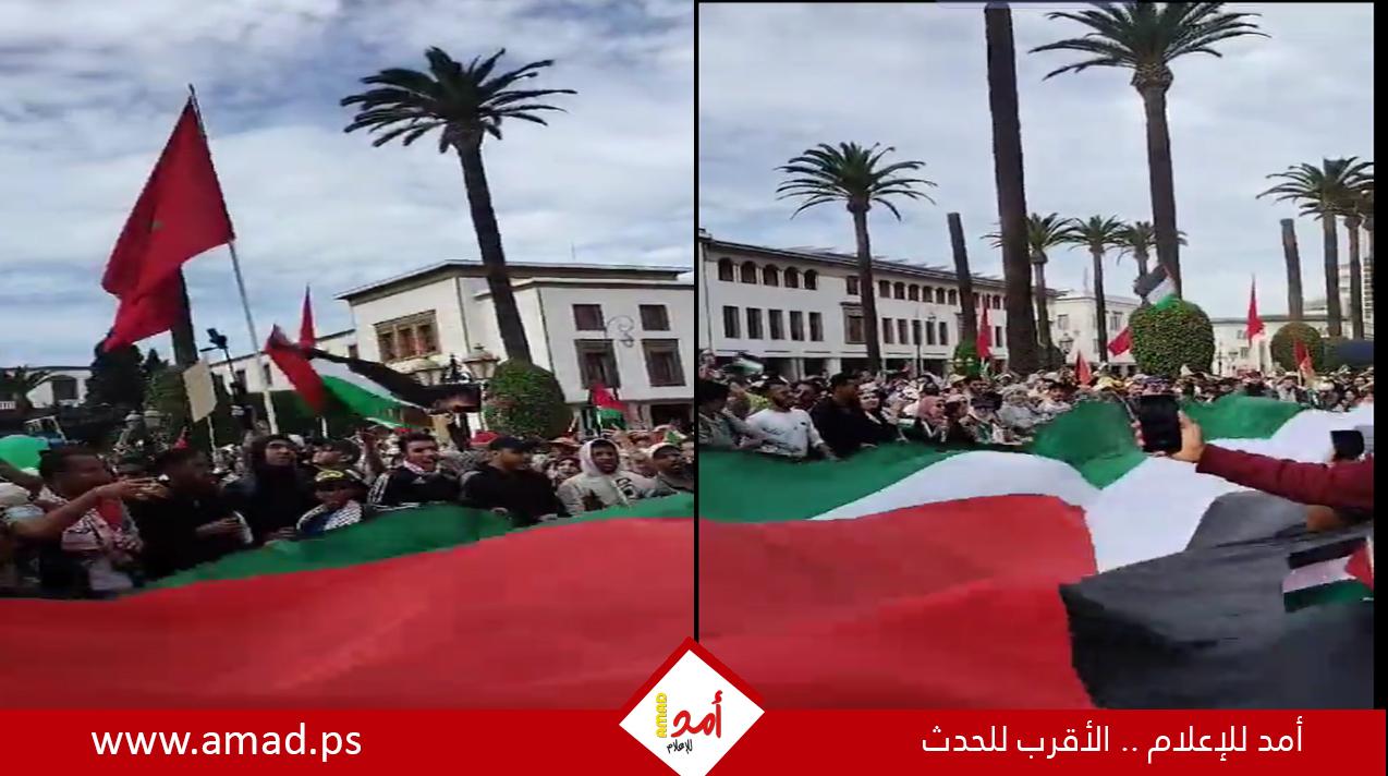 مظاهرة حاشدة في المغرب تضامناً مع غزة- فيديو