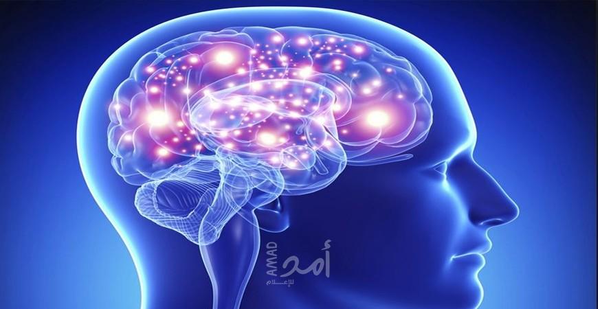 اعرف جسمك..محور إرسال واستقبال المعلومات