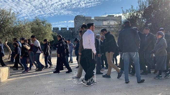 القدس: عشرات المستوطنون يقتحمون جبل البابا