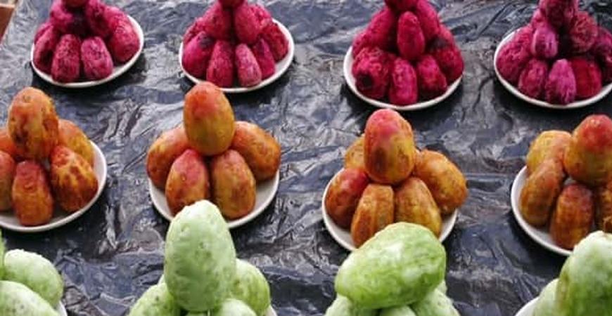 5 فوائد للتين الشوكى