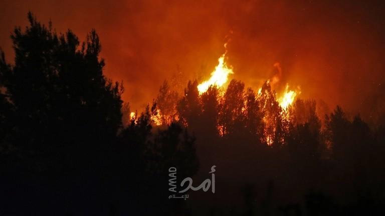 احتراق عشرات الدونمات الزراعية غرب طوباس