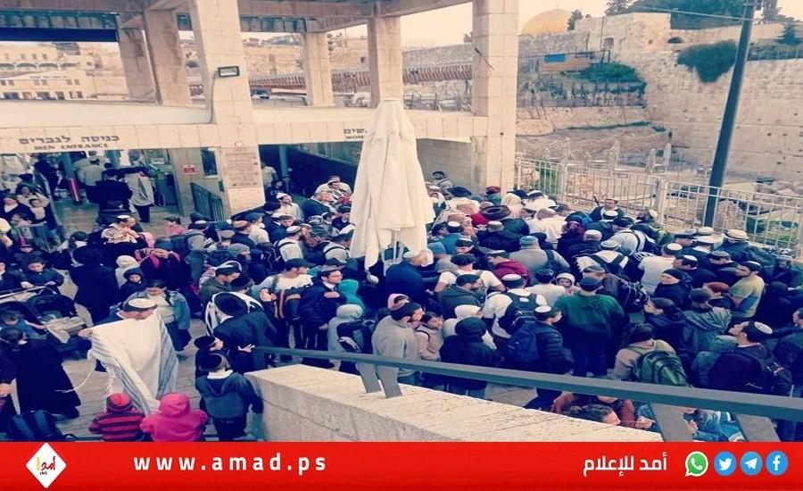 لليوم السادس..قوات الاحتلال تحمي الإرهابين المستوطنين خلال اقتحام "الاقصى"- فيديو