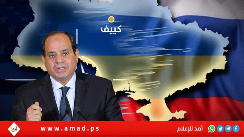 زعماء أفارقة بينهم السيسي يسعون لإقناع روسيا وأوكرانيا بـ"وقف القتال"