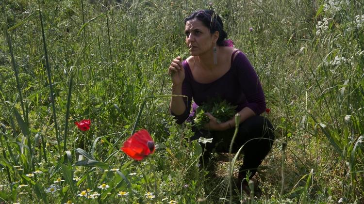 الأوبزرفر: "الفلسطينيون يؤسسون بنكا للبذور لإنقاذ التراث الزراعي في تلال الأرض المقدسة"
