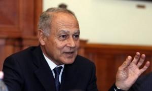 أبو الغيط يؤكد أهمية تعزيز وحماية حقوق الإنسان على المستوى العربي
