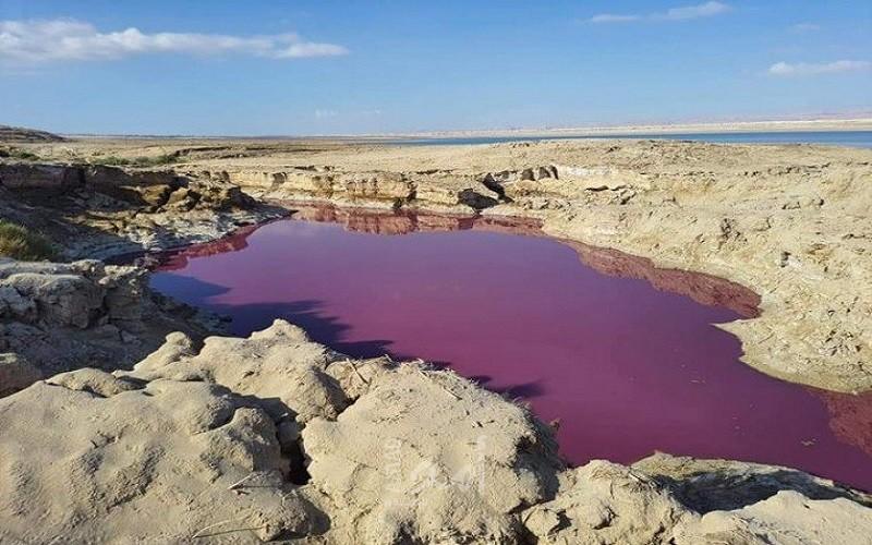 بركة مياه في البحر الميت تتحول إلى الوردي والسبب..