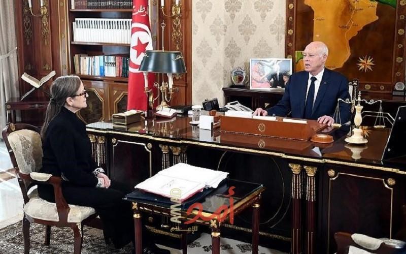 الرئيس سعيد: هناك من يعمل لإفشال أي مشروع وتأجيج الأوضاع بشتى الطرق