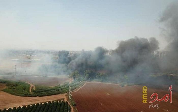 بالصور.. لليوم الثاني على التوالي: اشتعال النيران في العديد من الغابات بإسرائيل