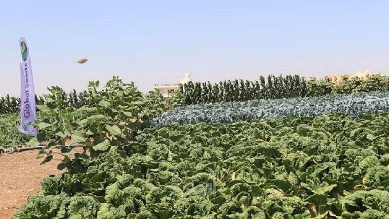 اتفاق أردني إسرائيلي  يمنح أفضلية لمنتجات المملكة الزراعية للمملكة