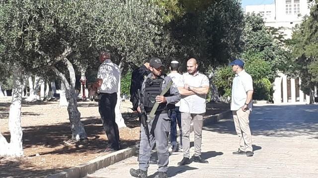 عشرات المستوطنين يقتحمون "الأقصى" بحراسة مشددة