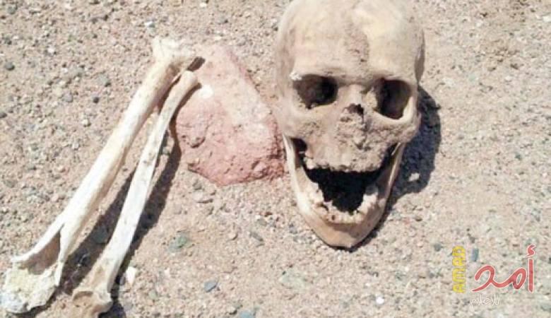 قوات الاحتلال الإسرائيلي تنبش القبور في القدس المحتلة