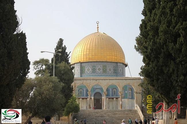 لجنة القدس: الاحتلال يستهدف التضييق على أهلنا في القدس وخاصة البنية التعليمية