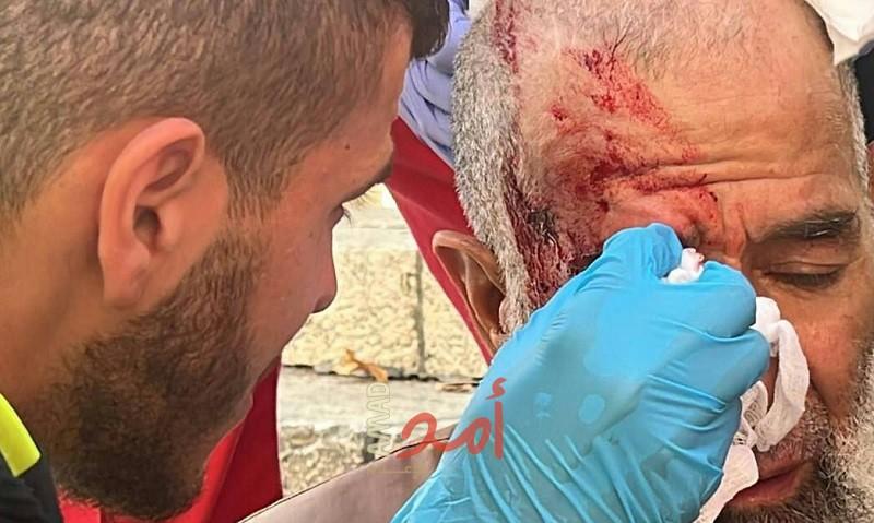 الأردن تدين الانتهاكات الإسرائيلية بحق "المسجد الأقصى"