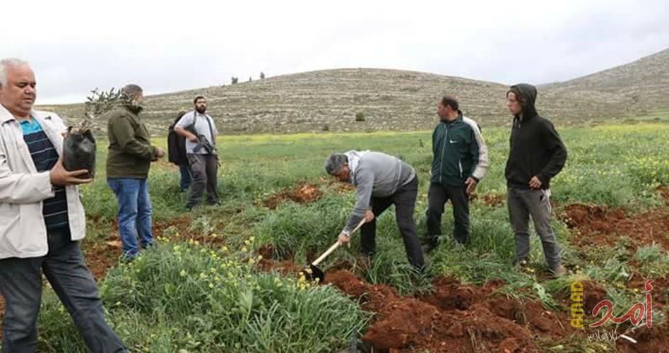 مستوطنون يغرقون أراضي زراعية في جنين بالمياه العادمة