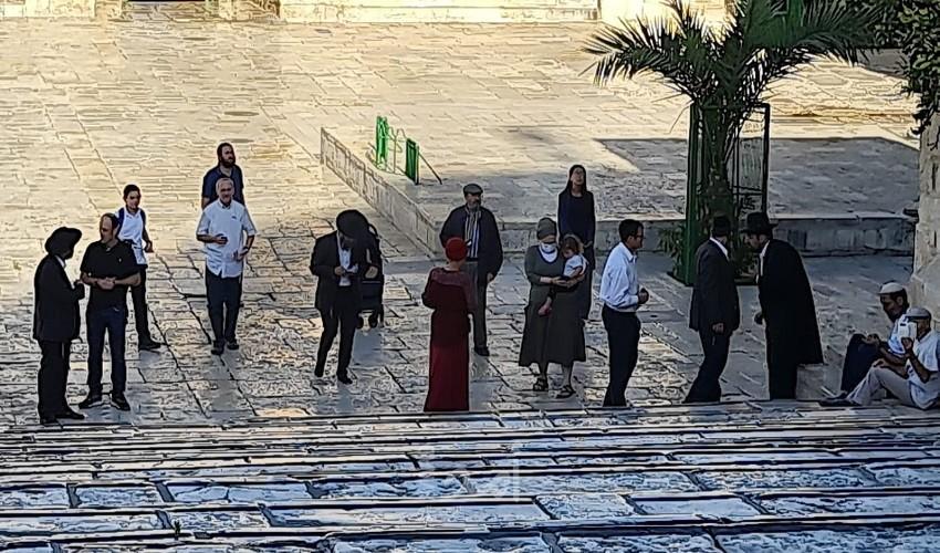 مستوطنون يقتحمون "الأقصى" بحماية قوات الاحتلال