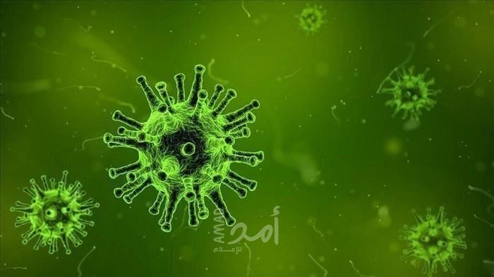 تجربة يابانية تثبت قدرة دوائين على سلبية كورونا