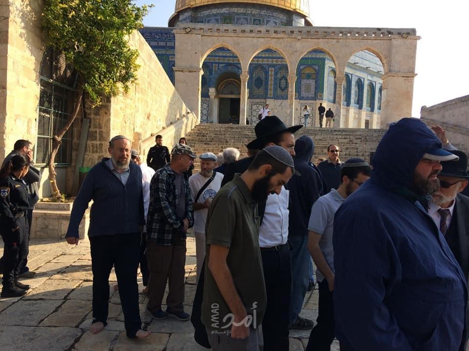 الإسلامية المسيحية تصدر تقريراً للانتهاكات الإسرائيلية بحق مدينة القدس خلال نوفمبر