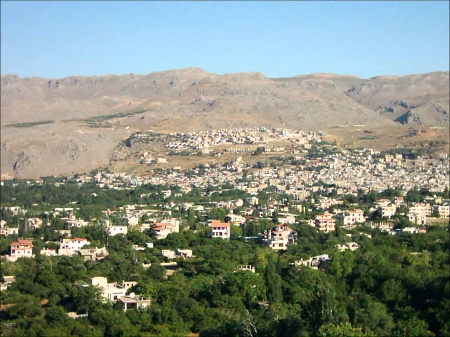 مصدر سوري: الجيش و"حزب الله" يدخلان الزبداني